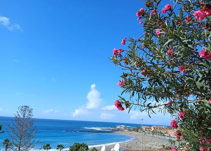 Sol Y Mar, Cristianos, Playa Vistas 公寓 *